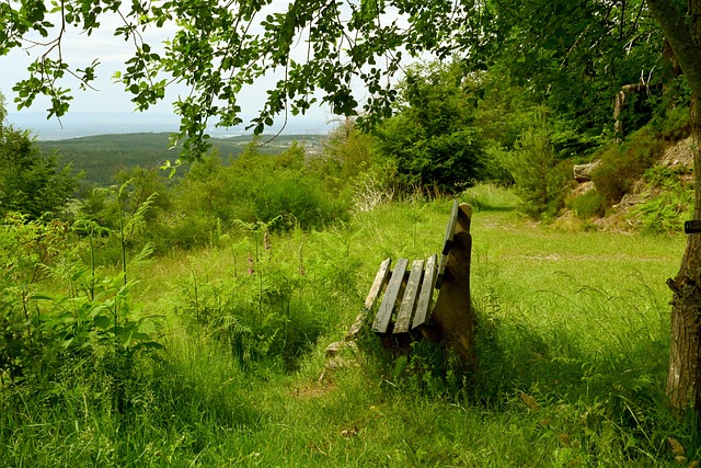 比的表现 比的表现