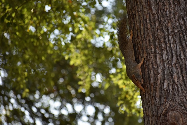 升競爭力 升競爭力
