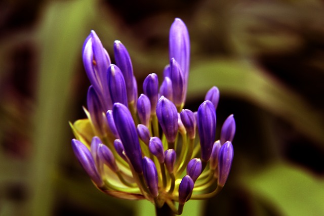 只有通过这 只有通过这