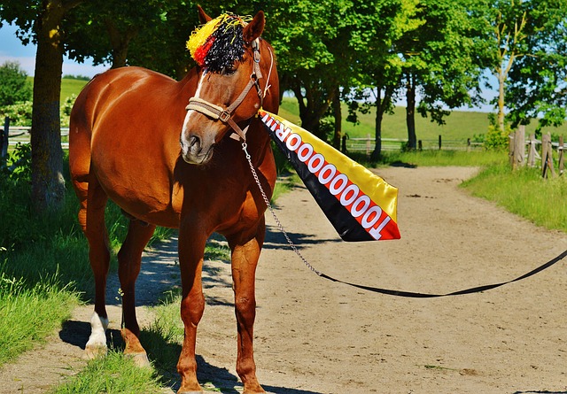 範弗裏特的全能表現猶如瑞士軍刀 隨時準備應對各種挑戰.