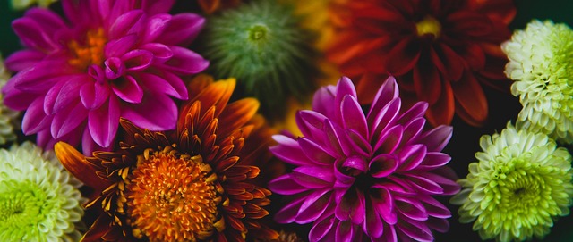 歐冠歷史第9支小組賽全勝球隊誕生！ 曼城首次收獲全勝榮耀！.