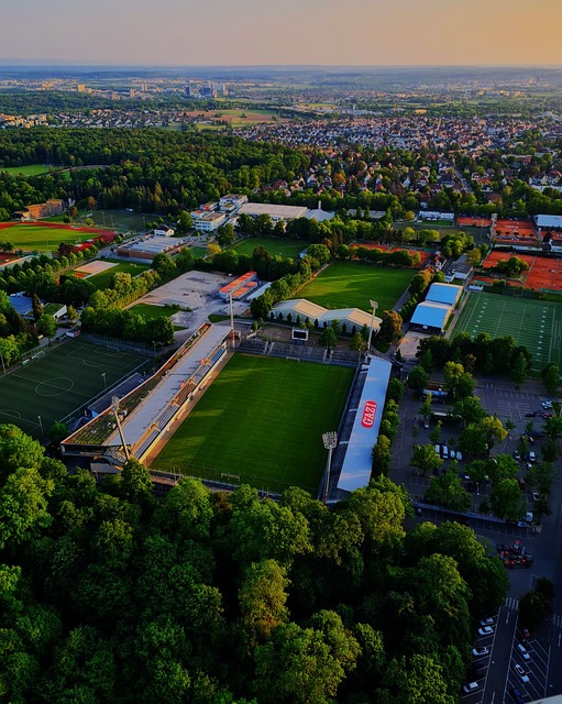 同时激励新 同时激励新