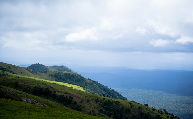 维尼修斯以 维尼修斯以