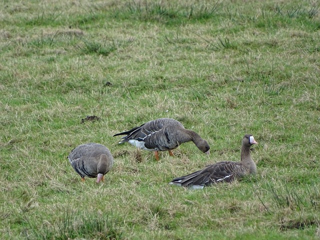 他的存在使 他的存在使