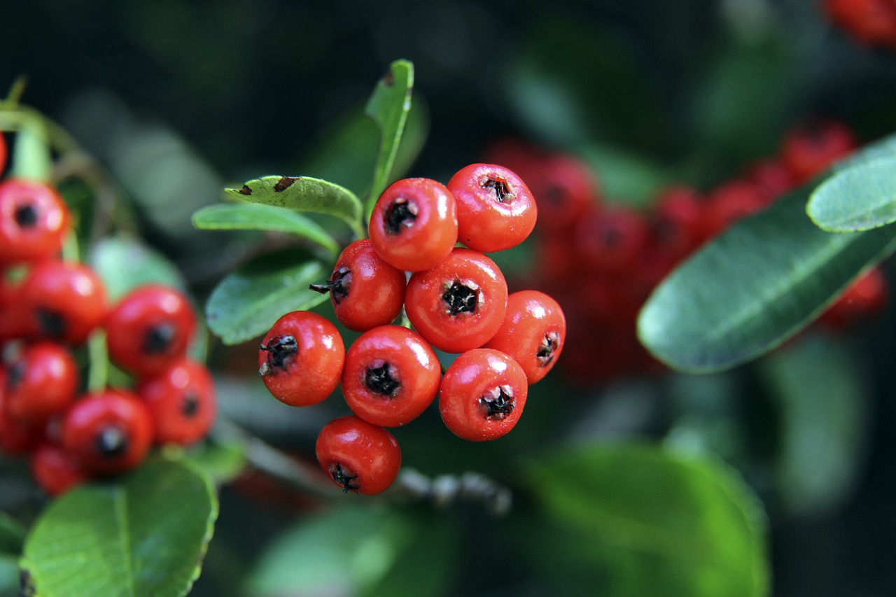 球员为核心 球员为核心