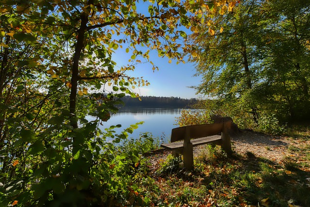 洒的汗水 洒的汗水